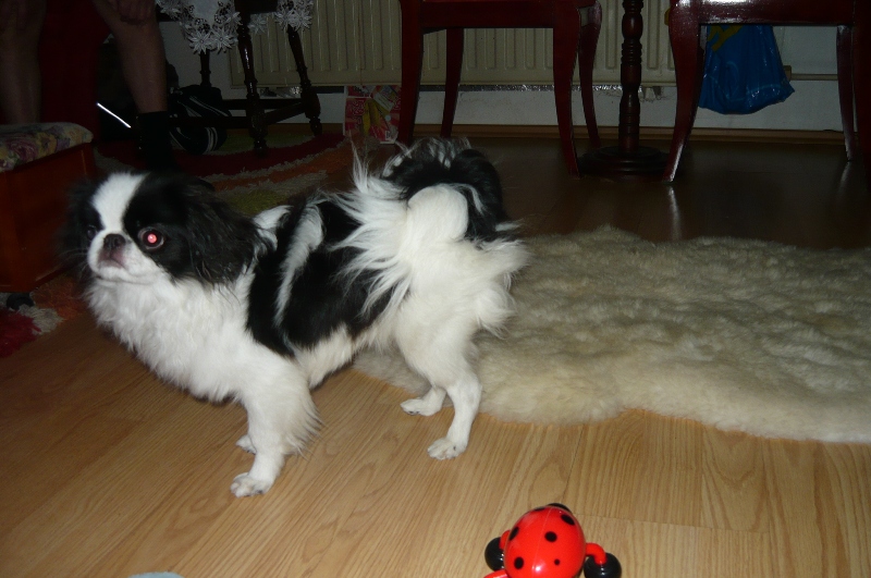 P1010622.JPG