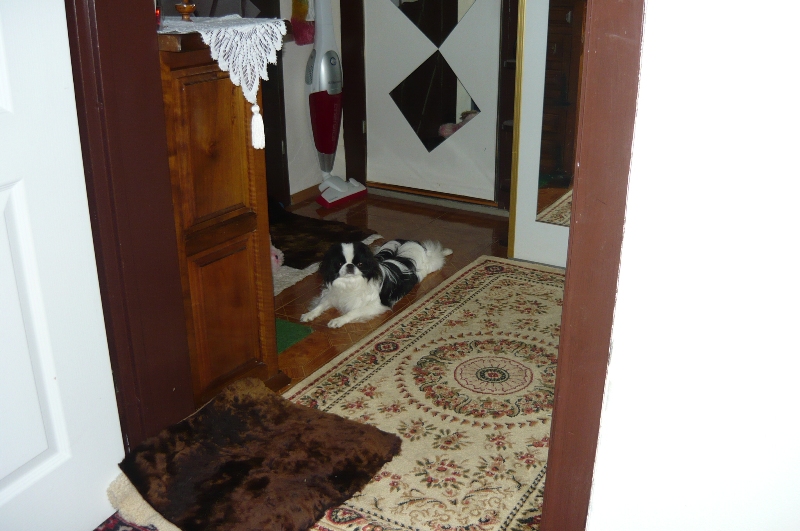 P1020016.JPG