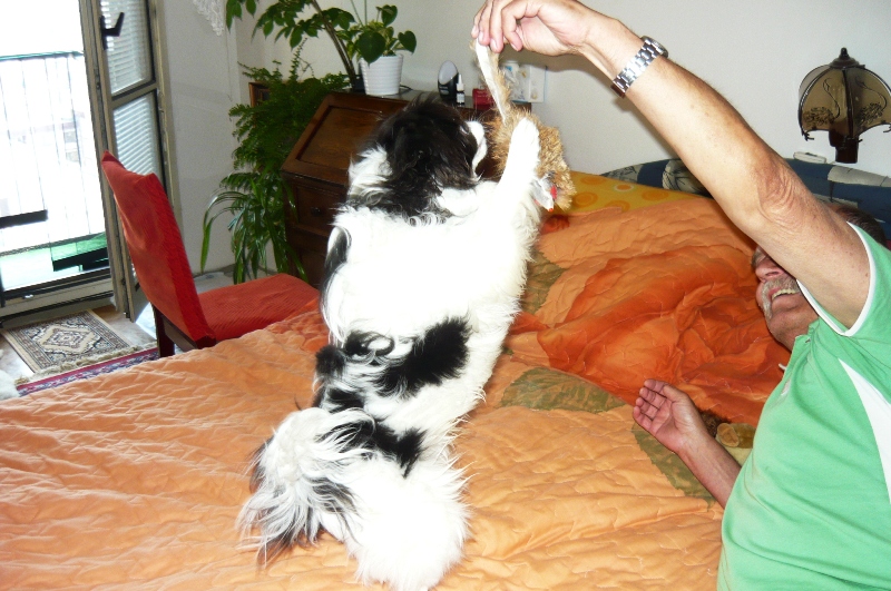 P1010941.JPG