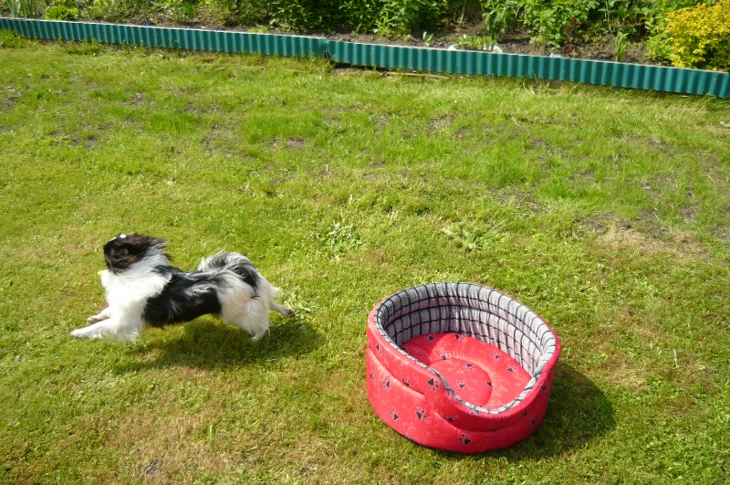 P1020105.JPG