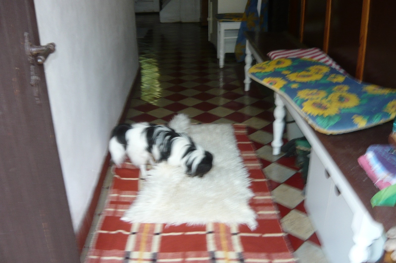 P1020174.JPG