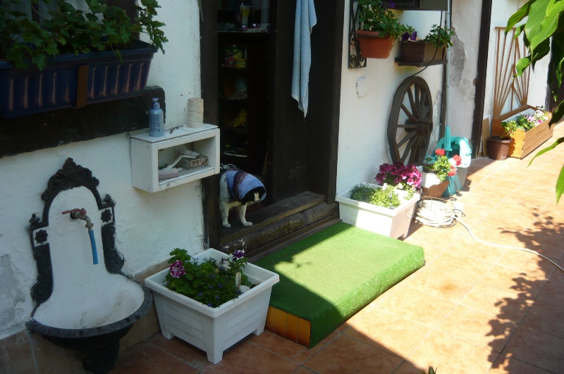 P1020198.JPG