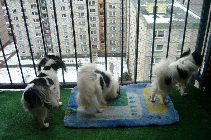 VZAL JSEM JE NA BALKON SE ZCHLADIT:-))