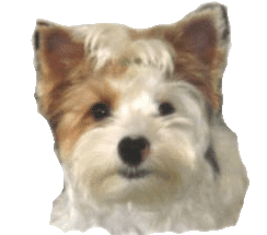 download.jpg1